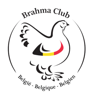Brahma Club Belgium